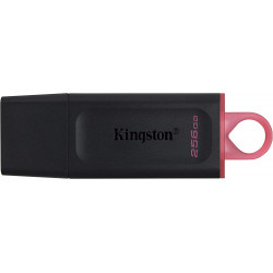 Chiavetta USB Kingston Data...