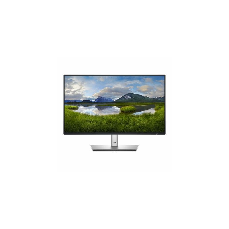DELL 22 MONITOR P2225H