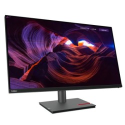 TS THINKVISION P32P-30 31,5...