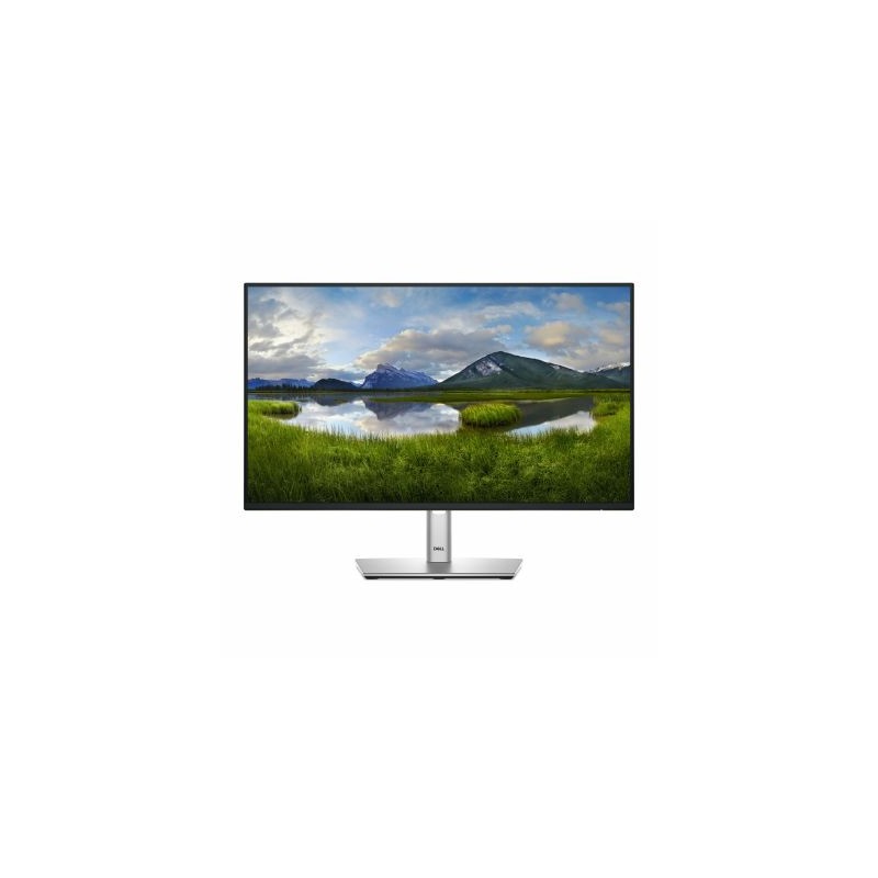 DELL 24 USB-C HUB MONITOR P2425HE