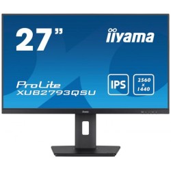 27 IPS 2560 x 1440 @100Hz...