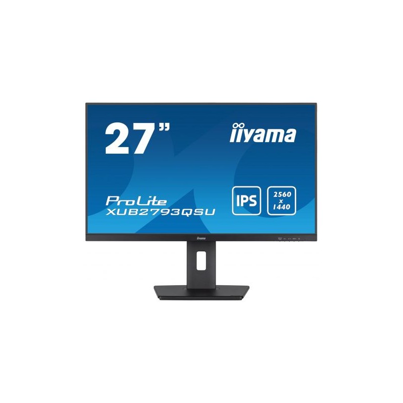 27 IPS 2560 x 1440 @100Hz (3.7 megapixel QHD)