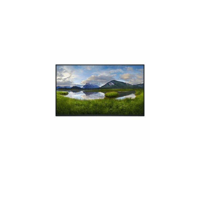 DELL 24 MONITOR P2425H WITHOUT STAND