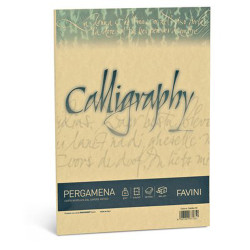 Carta Calligraphy Pergamena  90 gr. 50 ff Crema