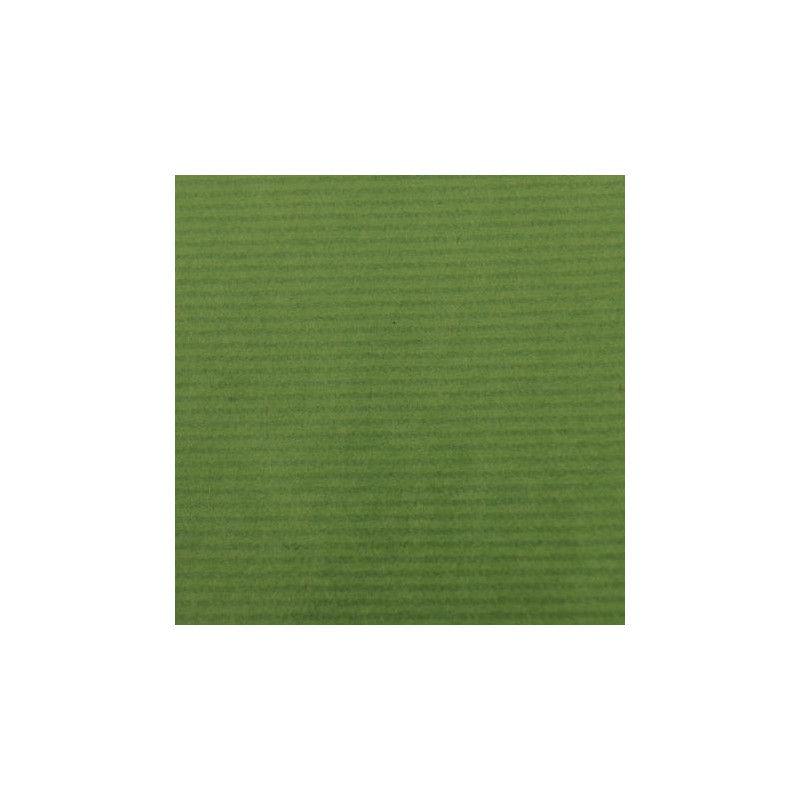 Carta Kraft Canson 65 gr. Rt.  0,68x3 mt. Verde